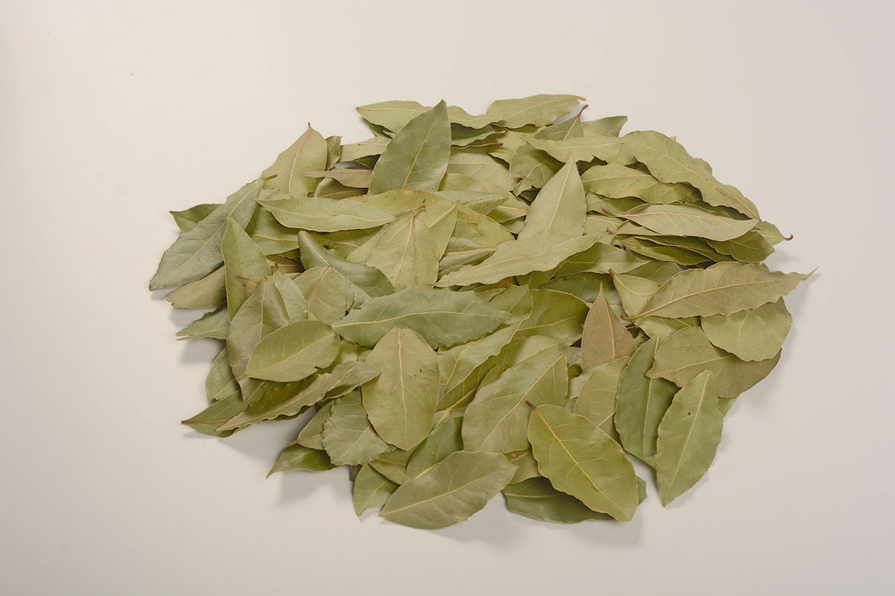 Elrihanna Laurel Leaves